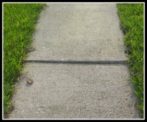 uneven-sidewalk